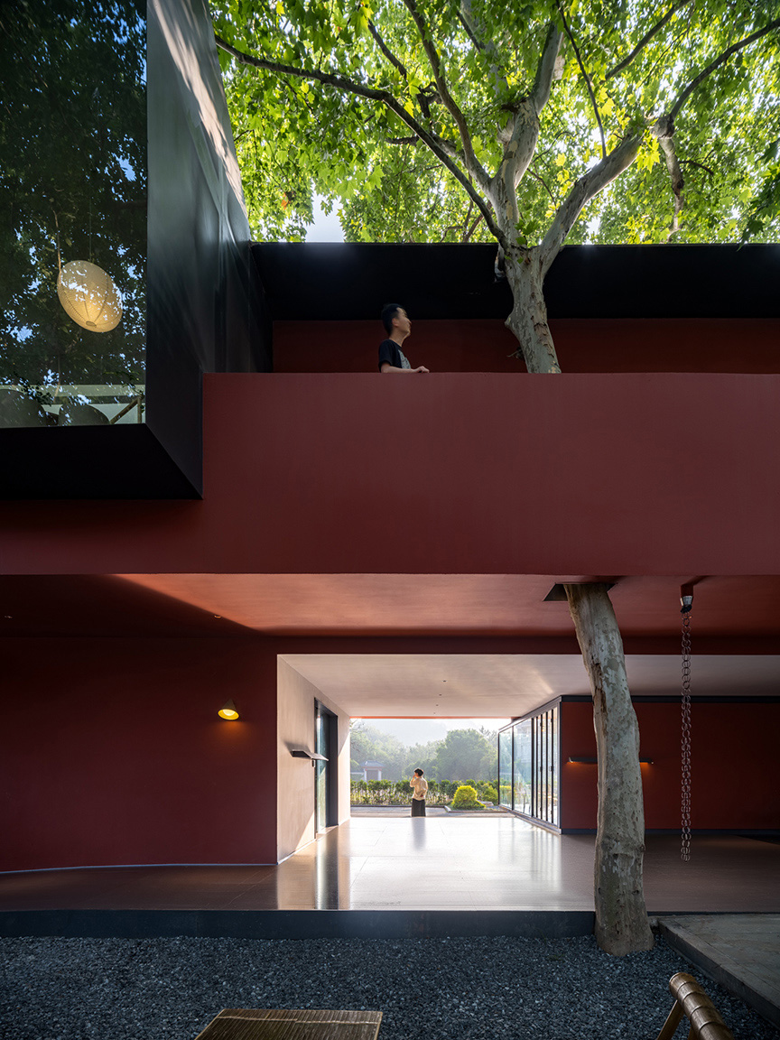 16.树与建筑的关系 之 穿堂入室式 Symbiotic relationship between building and trees ?摄影:吴清山.jpg