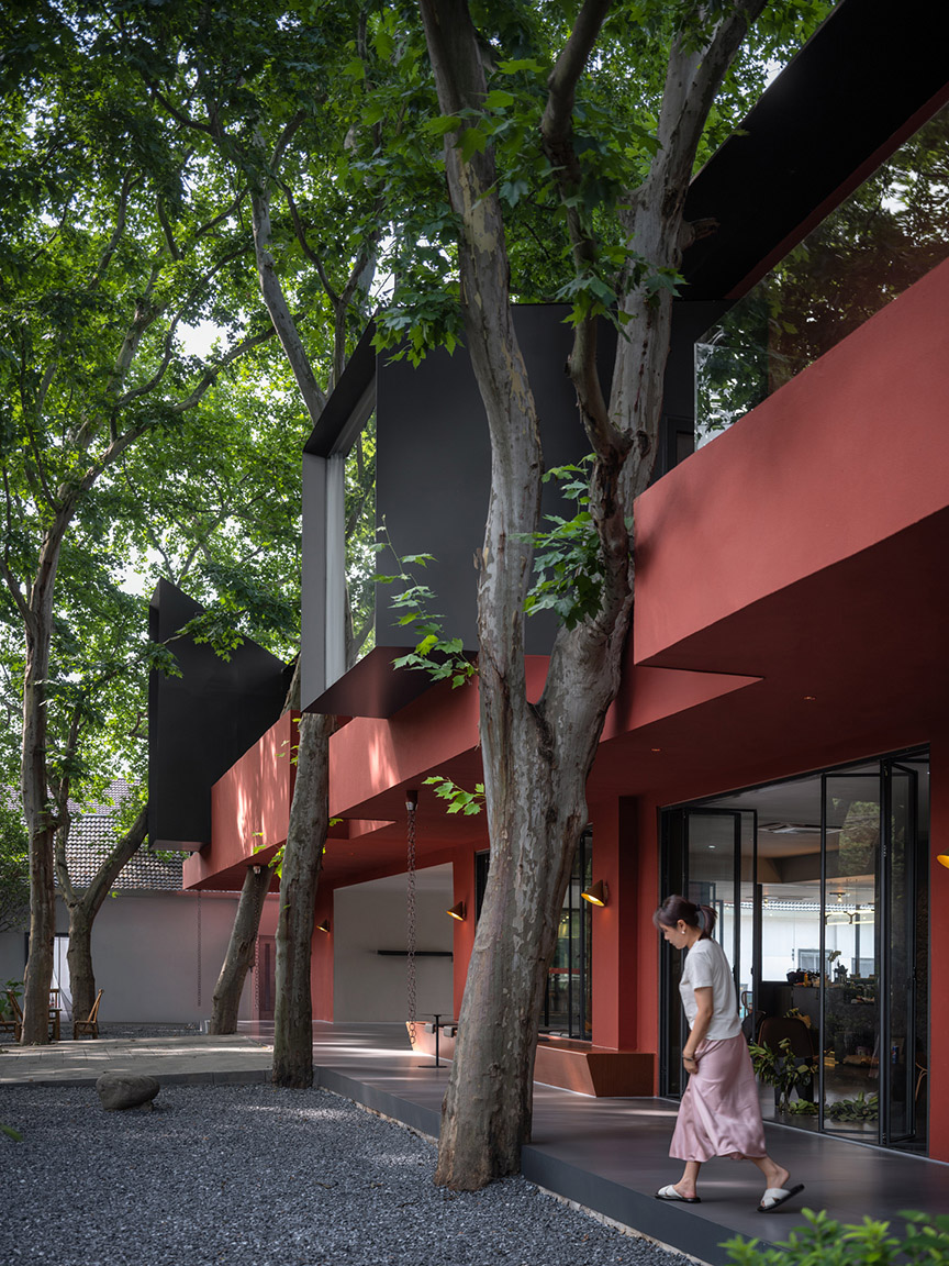 13.建筑与梧桐树的共生关系 Symbiotic relationship between building and parasol trees ?摄影:吴清山.jpg